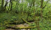 Excursión Senderismo Écrille - Quelque part dans le Jura 🥾 - Photo 4