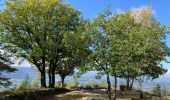 Tour Wandern Sankt Didel - Camp celte de La Bure et Roche des Corbeaux  - Photo 2