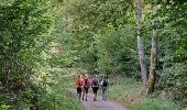 Tour Wandern Mittlach - VOSGES 2023 - MITTLACH - Vallée de la Wormsa - Photo 10