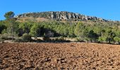 Trail Walking Cuers - Du col de la bigue vers le bas des barres de Cuers - Photo 4