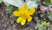 Trail Walking Collias - COLLIAS - Photo 4