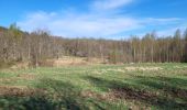 Tour Wandern Gedinne - Willerzie 190425 - Photo 11