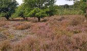 Randonnée Marche Maasmechelen - Mechelse Heide  - Photo 14