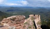 Trail Horseback riding Lembach - suuntoapp-HorsebackRiding-2024-09-28T07-36-13Z - Photo 9