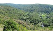 Excursión A pie Mohelno - Naučná stezka národní přírodní rezervace Mohelenská hadcová step - Photo 4