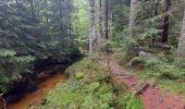 Tour Wandern La Chaise-Dieu - Bois de Breuil - Photo 13