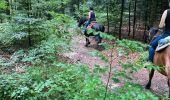 Trail Horseback riding Brouville - Avec Nadine Fred brouville grammont Tivio  - Photo 2