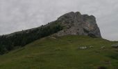 Randonnée Marche Lans-en-Vercors - Pic Saint-Michel et col d'Arc Vercors - Photo 8