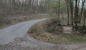 Trail Road bike Saulny - notre dame du gros chene - Photo 2