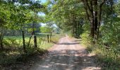 Tour Wandern Vuren - Moelingen Fourons 24 km - Photo 5