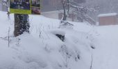 Trail Snowshoes Gérardmer - Gerardmer raquettes 5 - Photo 3