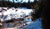 Percorso Marcia Bréau-Mars - lac des Pises - Photo 1