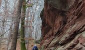 Randonnée Marche Sturzelbronn - Neunhoffen - Le petit Hundskopf - Photo 3