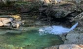 Excursión Senderismo Lucciana - lac de nino - Photo 1