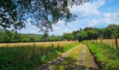 Randonnée Marche Viroinval - Balade à Le Mesnil - Viroinval - Photo 13