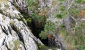 Excursión A pie Saint-Agnan-en-Vercors - Montagne de beurre: Pré Peyret - Photo 8