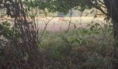 Trail Walking Valorbiquet - St Cyr du Ronceray - Fervaques - Cheffreville - Photo 2