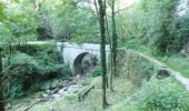 Randonnée Marche Cognin-les-Gorges - Cognin-les-Gorges - Gorges du Nan - Malleval-en-Vercors - Photo 9