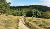 Randonnée V.T.T. Orbey - Orbey - Labaroche - Col du Wettstein - Photo 1