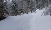 Tour Skiwanderen Mont-Dore - le capucin - Photo 18