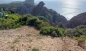 Trail Walking La Ciotat - la ciotat chapelle nd de la garde. à villa Teychene   - Photo 9