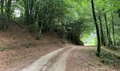 Trail Walking Lauroux - Le cirque de L’abeille la forêt de l’Escandorgues - Photo 2