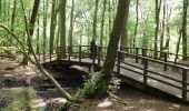 Tocht Te voet Onbekend - Schlebusch Stadtbahn Rundweg A2 - Photo 6