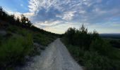 Trail Walking Lambesc - Nord de LAMBESC - Photo 3