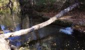 Trail Walking Mazaugues - le Caramy - Photo 14