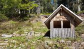 Tour Wandern Forbach - Rote Lache - Lac Schwarzenbachstausee - Badener Höhe (Rother n°39) - Photo 1