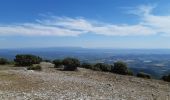 Tour Wandern Vitrolles-en-Luberon - 360° au dessus de Vitrolles en Luberon - Photo 3