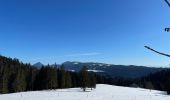 Randonnée Raquettes à neige Métabief - Les hauteurs de Metabief - Photo 5