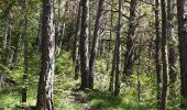 Trail Walking La Roche-des-Arnauds - Serigons - Rabou par petit Buëch  - Photo 5