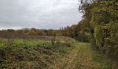 Tour Wandern Esvres - Esvres-sur-Indre - Veneuil Rouillers Hardellière - 24.5km 245m 5h20 (50mn) - 2024 11 23 - Photo 4