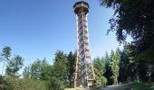 Excursión A pie Desconocido - Rundwanderweg Wilhelmsfeld 10 : Weißer-Stein-Weg - Photo 8