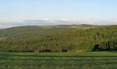 Tour Zu Fuß Hilders - Rundweg 9, Simmershausen - Photo 7