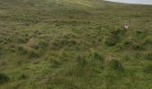 Tour Wandern West Cork - Allihies - Castletownbere - Photo 10