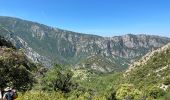 Tour Wandern La Palud-sur-Verdon - La palud sur Verdon - Photo 10