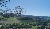 Tour Wandern Perrier - Prier  le circuit des grottes  - Photo 1