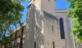 Tocht Stappen Avignon - Avignon Vieille ville - Photo 2