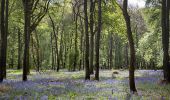 Tour Wandern Opwijk - 20220416 Hyacintentocht lus 8 km Kravaalbos via Terberglos en Lus Groenedreef - Photo 1