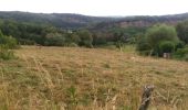 Tocht Stappen Comblain-au-Pont - poulseur mix balade croix bleue et croix jaune - Photo 2