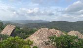 Excursión Senderismo La Londe-les-Maures - Dolmen de Gautabry par le vallon de Tamary - Photo 6