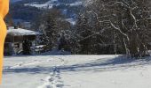 Trail Snowshoes Demi-Quartier - Montée chalet de la Vielle-Beauregard-la Ravine. Descente Fouettaz - Photo 8