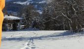 Tocht Sneeuwschoenen Demi-Quartier - Montée chalet de la Vielle-Beauregard-la Ravine. Descente Fouettaz - Photo 8