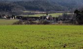 Tocht Te voet Neukirchen bei Sulzbach-Rosenberg - Neukirchener Juralandschaftsrundweg - Photo 8