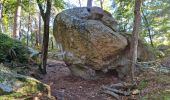 Trail Walking Fontainebleau - Sentier Denecourt 1 - Photo 13