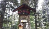 Tour Wandern Oberburbach - Col du Hundsruck Col de Rimbach - Photo 4