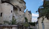 Tour Wandern Turquant - Turquant - GR3 GRP Dampierre-sur-Loire - 24.5km 320m 5h25 (1h05) - 2024 09 18 - Photo 11