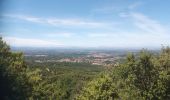 Randonnée Marche Laroque-des-Albères - Les cabanes de Mataporc - Photo 7